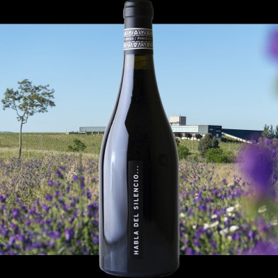 Habla del Silencio
