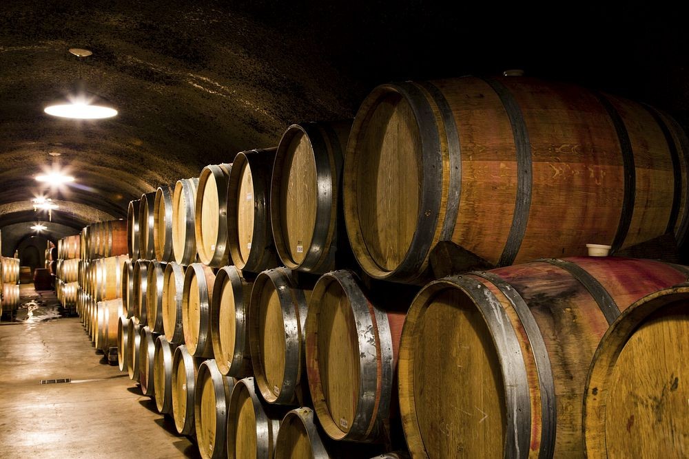 Características del vino de Bullas D.O.